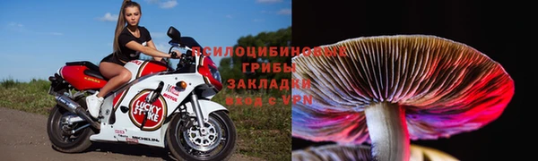 стафф Армянск