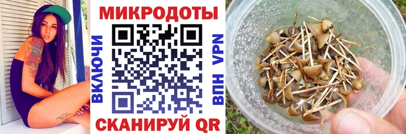 Псилоцибиновые грибы GOLDEN TEACHER  Северо-Курильск 